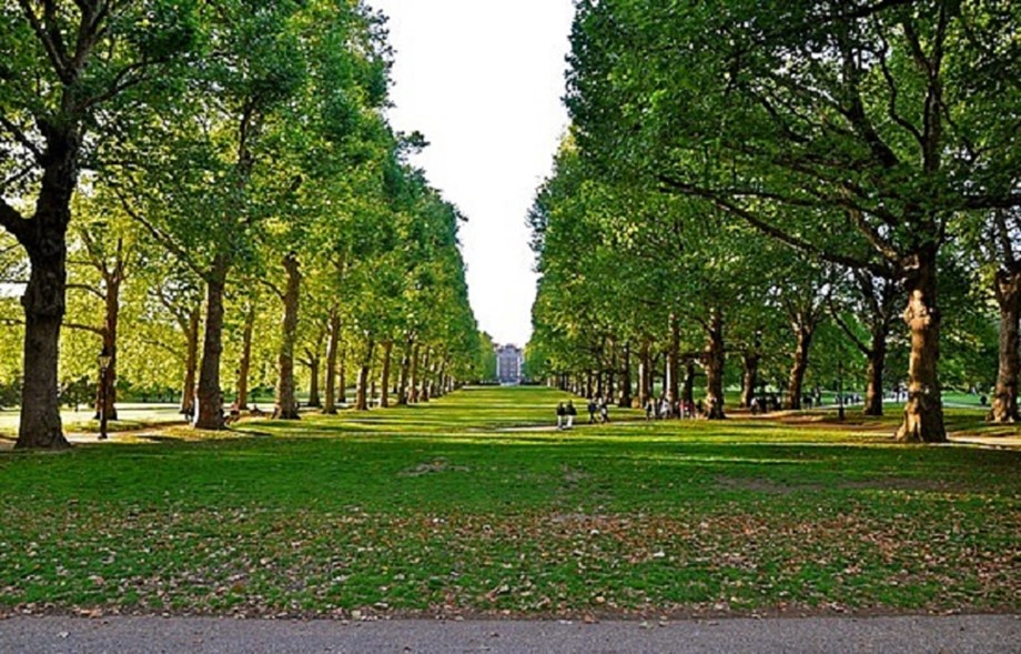 It s green. Green Park London Hyde. Фотография Грин парком. Грин верч парк. Фото Грин парка.