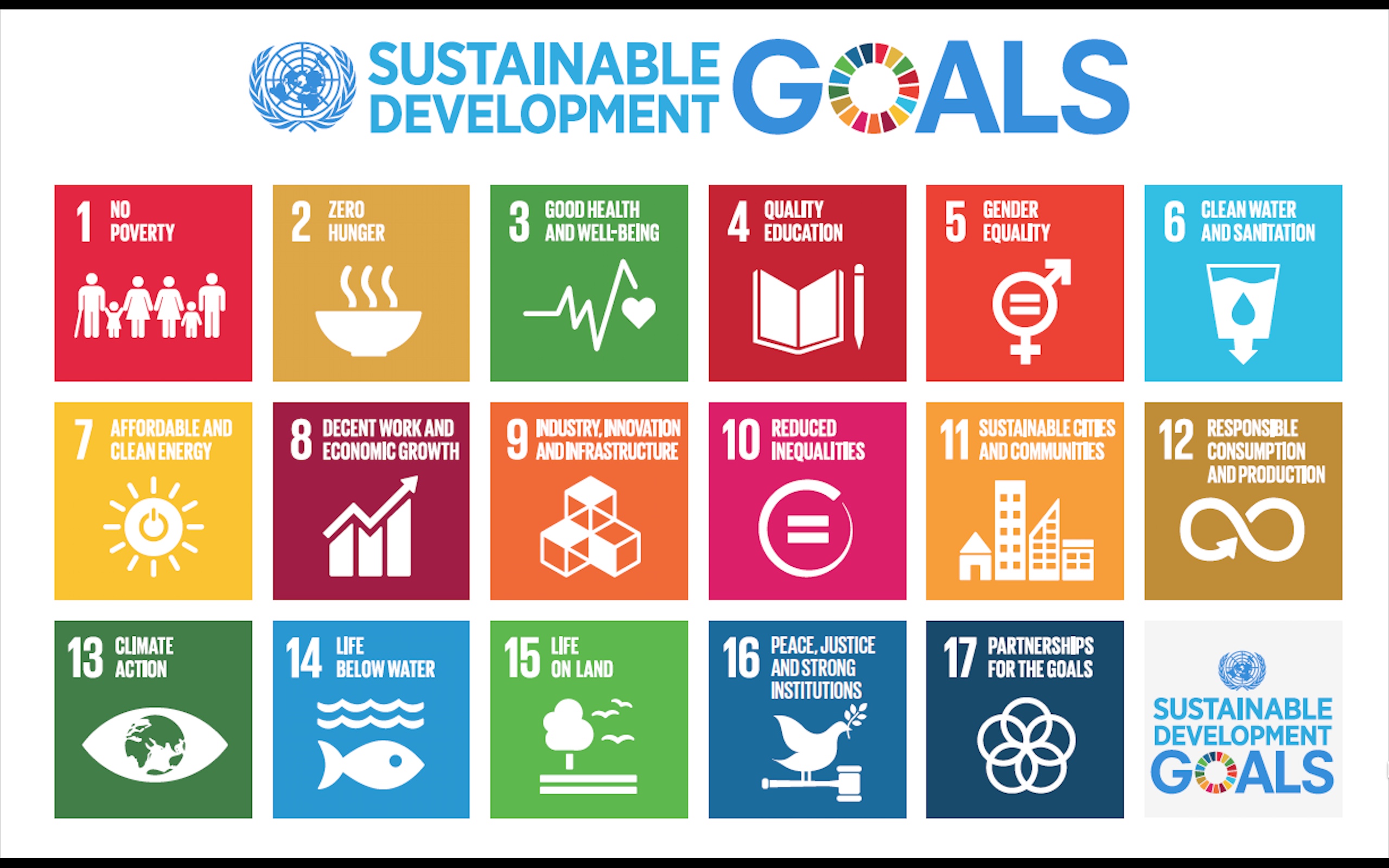 What are Sustainable Development Goals (SDGs)?  