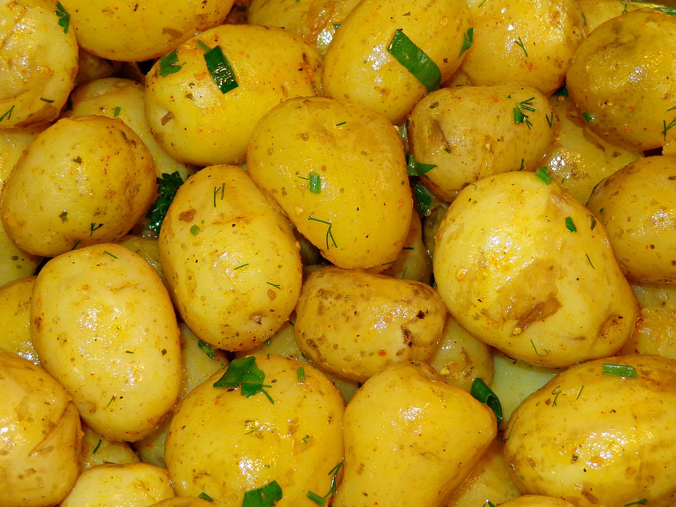 Researchers are promoting these new highly nutritious yellow potato varieties