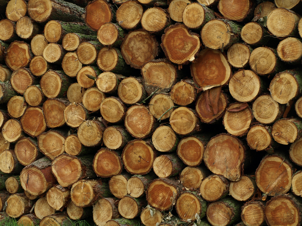 Governance is key to boosting intra-Africa trade of timber products: African Development Bank