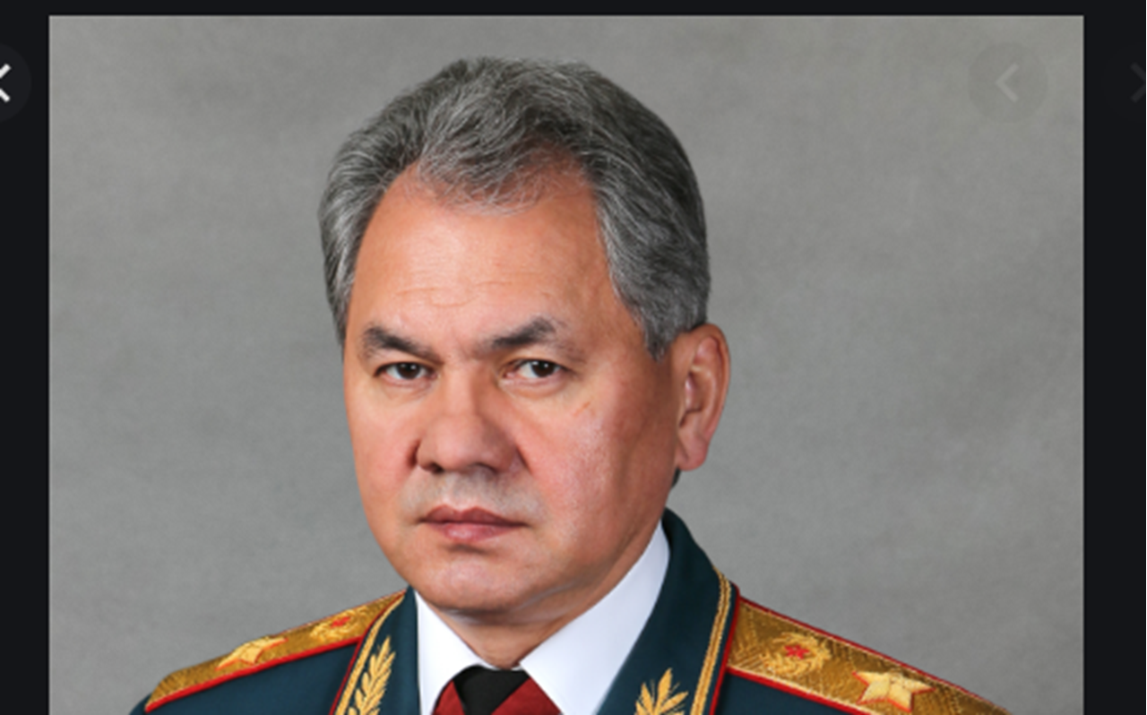 Шойгу губернатор московской. Портрет министра обороны с.Шойгу. Шойгу министр портрет.