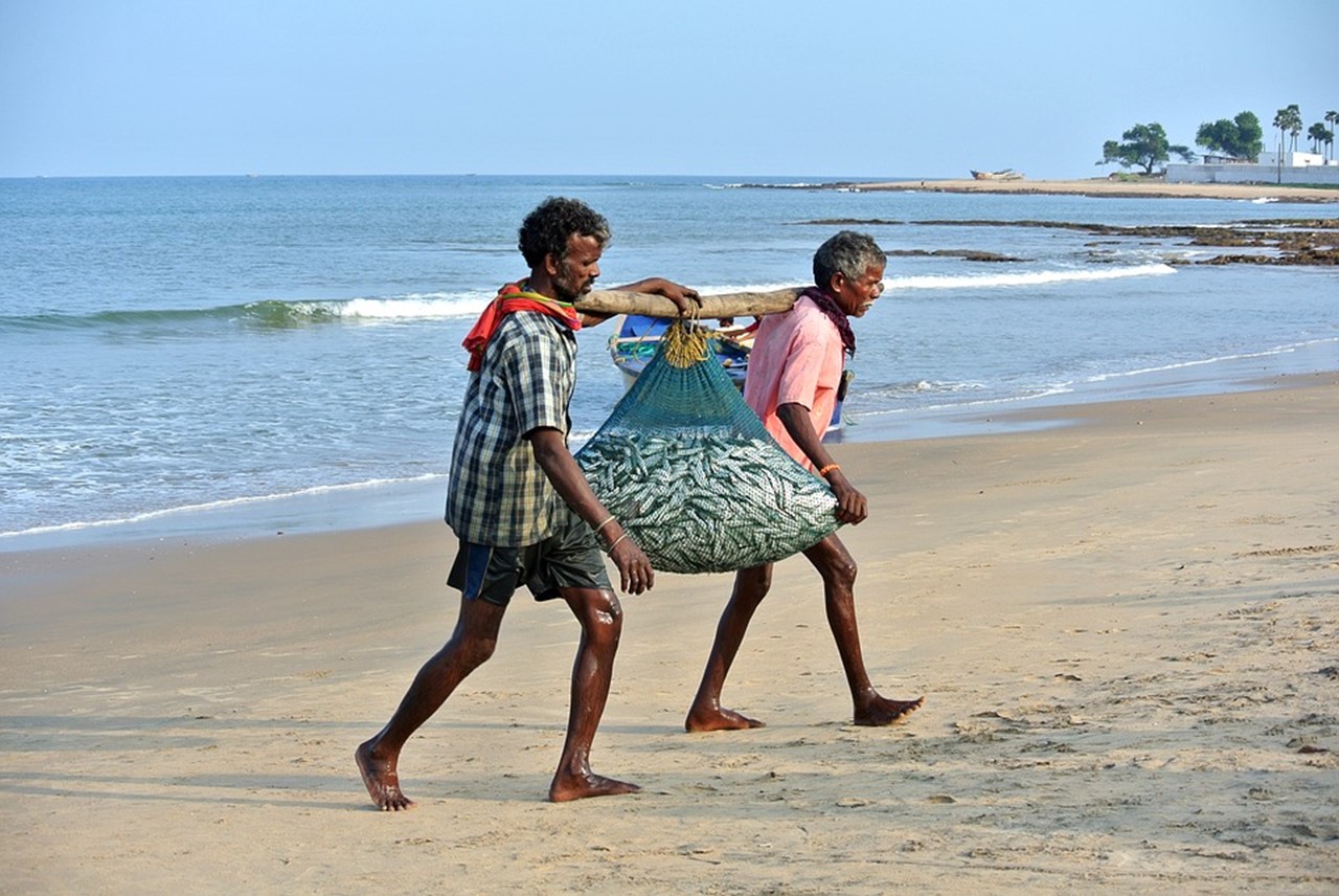 Nets worth Rs 3 lakh seized from Karnataka fishermen in Goa