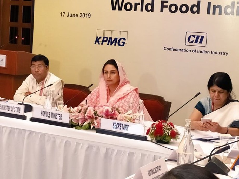 World Food India 2019 To Be Biggest Gathering Of Stakeholders - world food india 2019 to be biggest gathering of stakeholders harsimrat badal