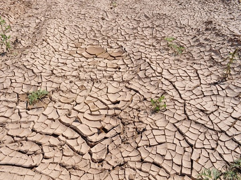 Without water, there is no life': Drought in Brazil's  is sharpening  fears for the future