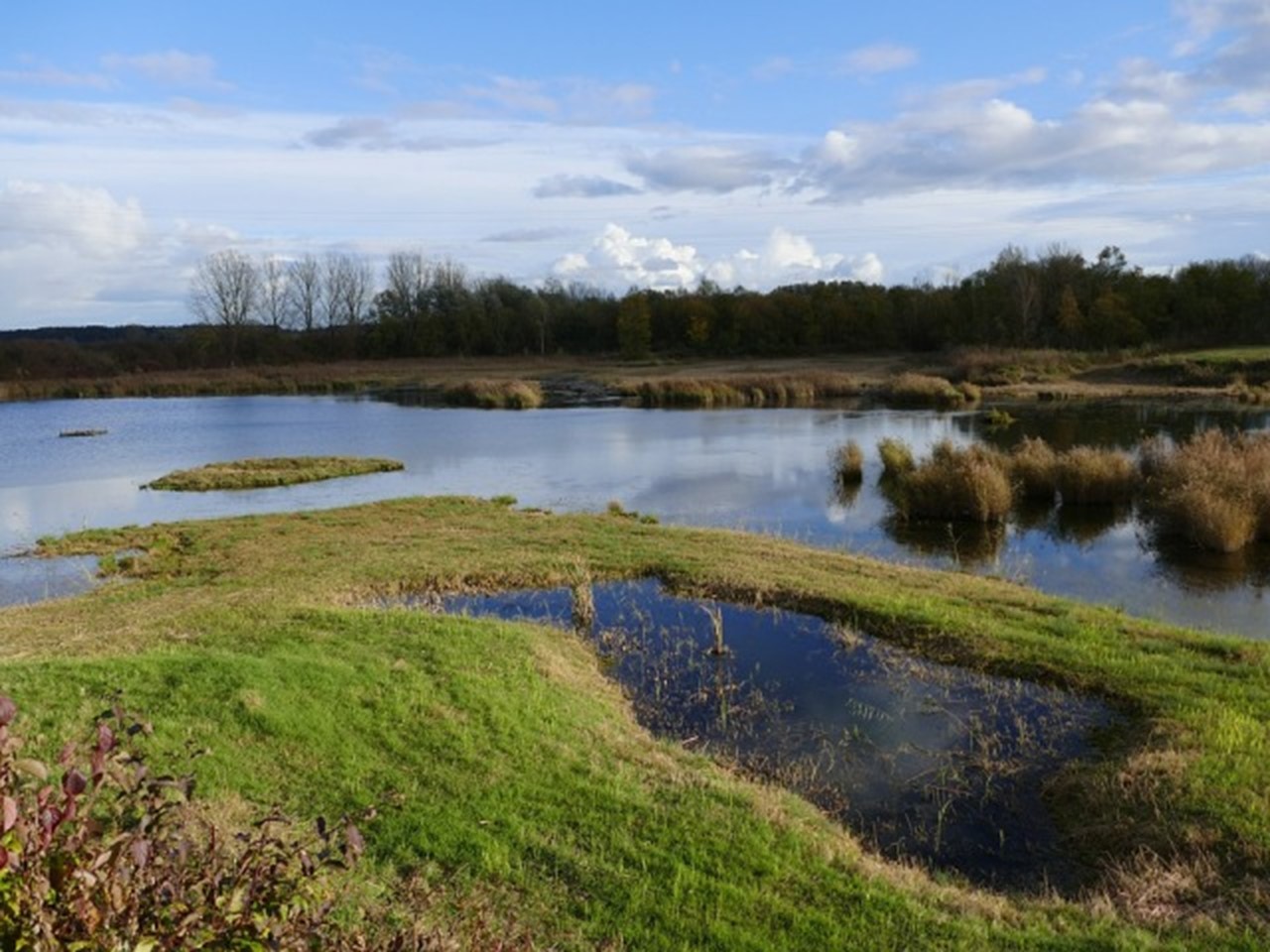 UNESCO and LVMH strengthen their partnership to support biodiversity