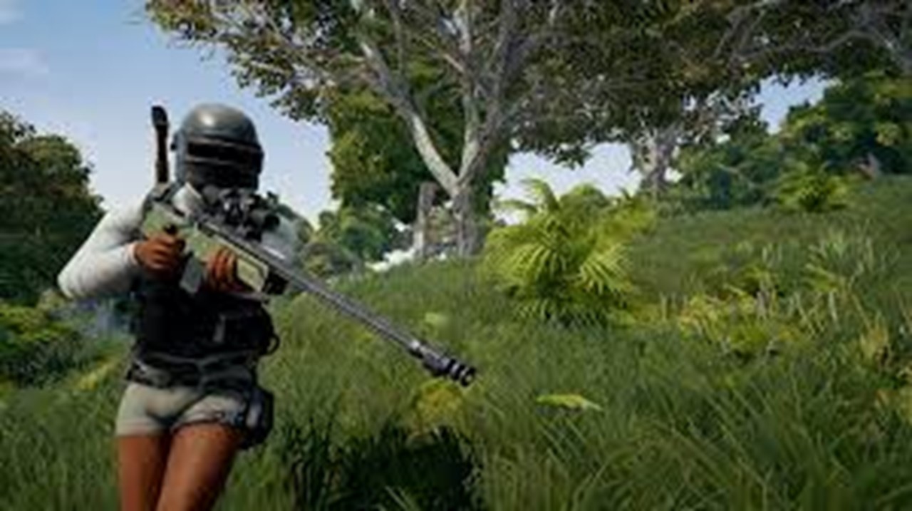 Has PUBG pushed youngsters towards gaming courses in India?